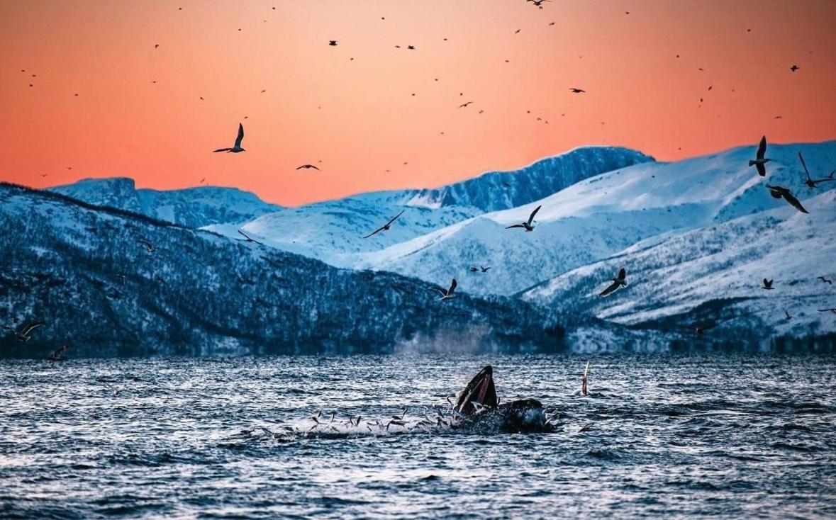 SkjervoyArctic Loft公寓 外观 照片
