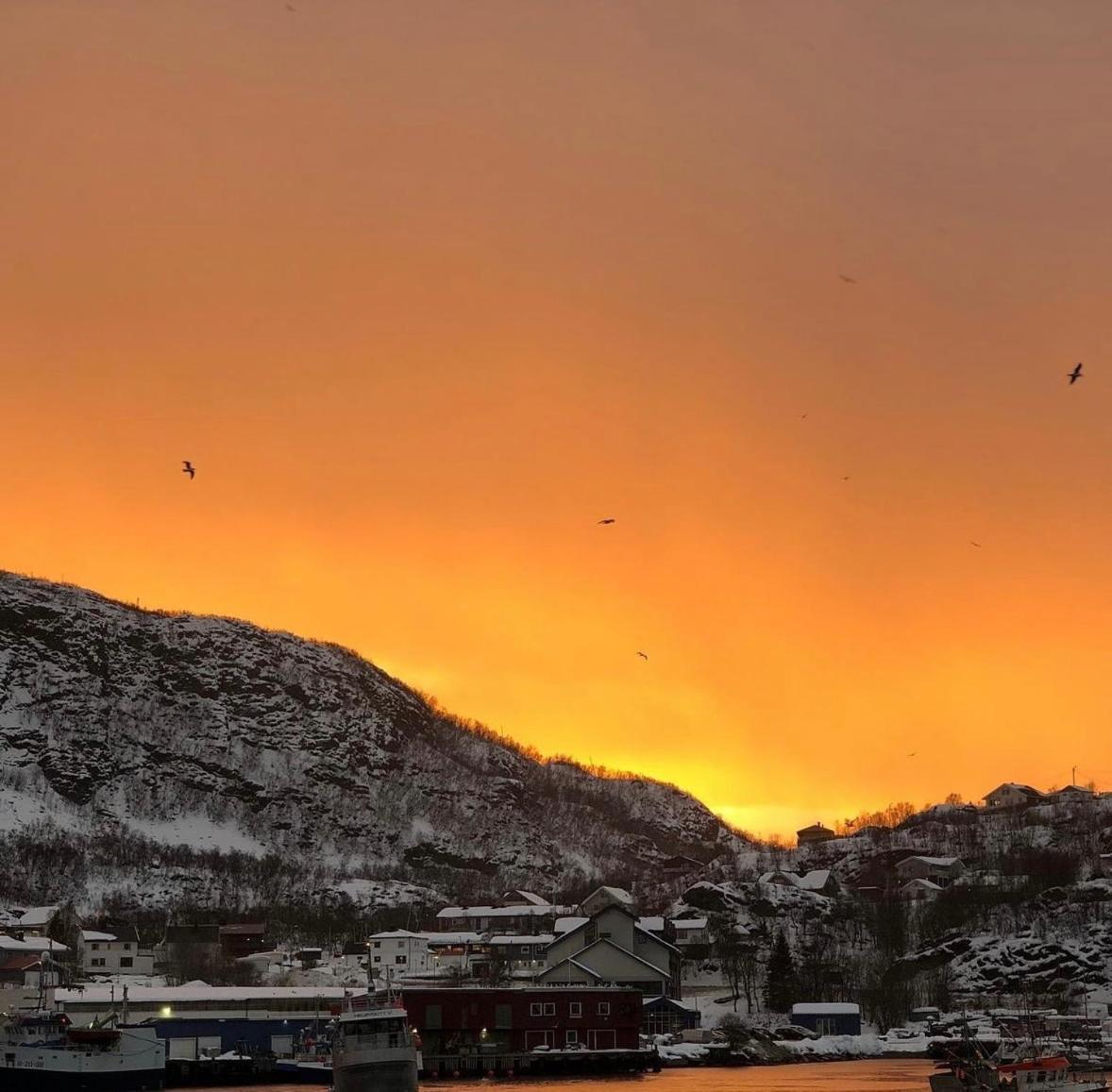 SkjervoyArctic Loft公寓 外观 照片